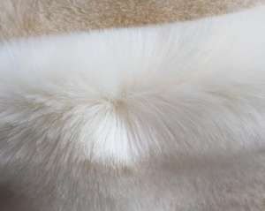 長(zhǎng)毛絨是什么材料？長(zhǎng)毛絨的優(yōu)缺點(diǎn)